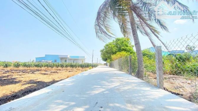 240m2 thổ +910m2 lúa 12,6m mặt tiền đường trương văn chuẩn Bình Tịnh-Tân trụ 1,35ty - 4