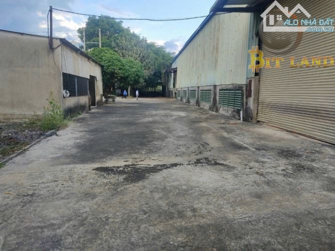 Bán Xưởng SKC 8300m2 SKC Trảng Bom,Đồng Nai - 5
