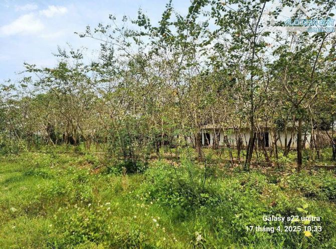 Bán lô đất 1076m bám hồ tiến xuân, quy hoạch đẹp trc mặt là ĐHGG, cách đại lộ TL chỉ 300m - 5