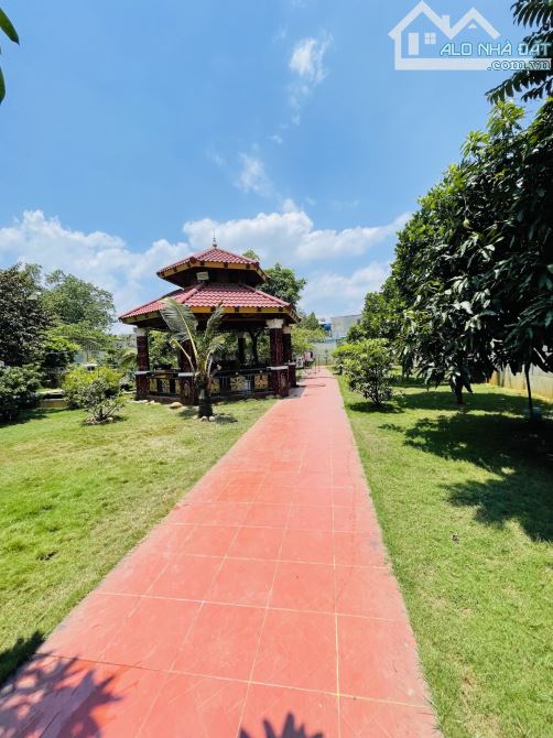 BIỆT THỰ SIÊU KHỦNG - SÂN VƯỜN, HỒ CÁ KOI, 1259m2 - 8