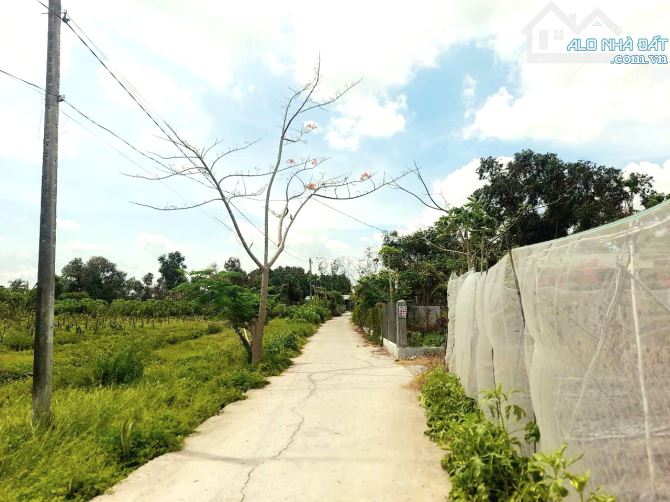 Chỉ 1.35 tỷ sở hữu 1150m2 đất có 240m2 thổ đường xe tải Trương Vân Chuẩn - 9