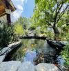 BIỆT THỰ SIÊU KHỦNG - SÂN VƯỜN, HỒ CÁ KOI, 1259m2