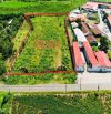1 mẫu 255 sẵn 1500m thổ cư mặt tiền nguyễn huệ phước long thọ 30 tỷ