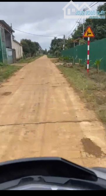 CẦN BÁN 1 SÀO CAU + SẦU RIÊNG ĐANG THU TẠI CUÔR ĐĂNG GẦN QL14