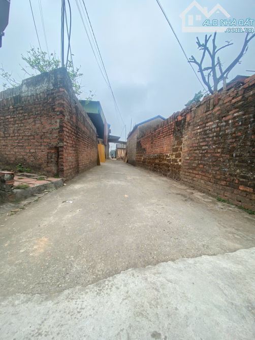 BÁN ĐẤT THANH TRÍ, MINH PHÚ, SÓC SƠN. 106m2, Mt 6,5m. Full thổ cư.
