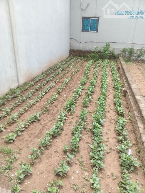 Bán 50m2 Mộc Hoàn, Vân Côn _ Hoài Đức, ô tô vào đất