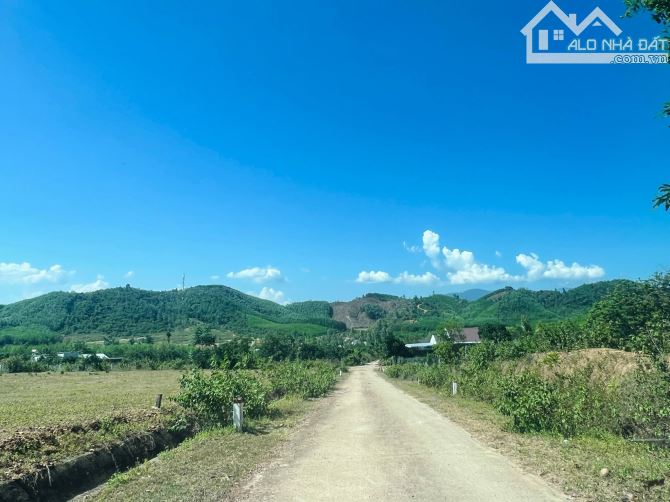 bán đất quy hoạch full thổ cư giá rẻ ộng 4.600m2 xã Khánh Phú, Khánh Vĩnh gần Hương Lộ 62