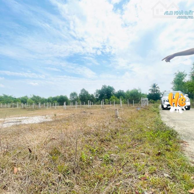 Nguồn mới tinh, chủ vừa gửi lô Tân Phước