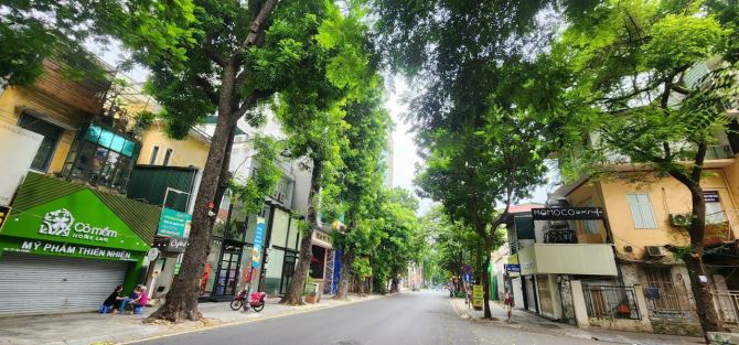 Siêu phẩm biệt thự- mặt phố- KD- đẳng cấp- Khu Lão Thành Cách Mạng- 200m2- MT: 26m- 98 tỷ