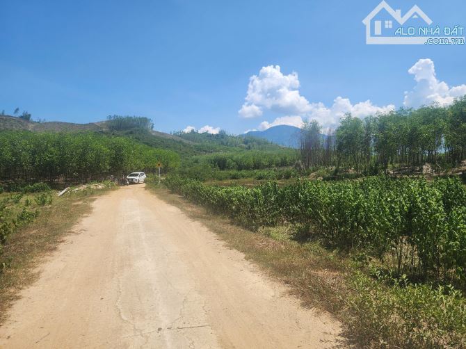 PHẢI BÁN GẤP LÔ ĐẤT DIÊN ĐỒNG, DIÊN KHÁNH chiều ngang 92m