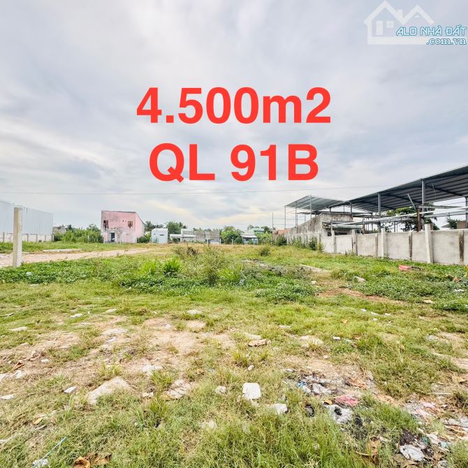 CHO THUÊ ĐẤT DIỆN TÍCH LỚN 4.500M2 MẶT TIỀN QL 91B GẦN CẦU RẠCH SÚC NGÃ TƯ LỚN LỘ 40M - 4