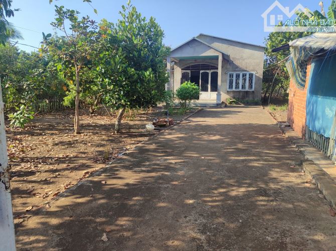 BÁN NHÀ MẶT TIỀN NHỰA XUÂN BẢO XUÂN TÂY, DT 3000M2 , FULL HỒNG, TRÁI CÂY ĐỦ LOẠI