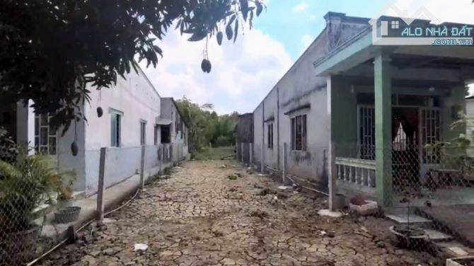 Bán lô đất đường nhựa xe hơi Nguyễn Công Bao, Tam Thôn Hiệp, Cần Giờ - 10