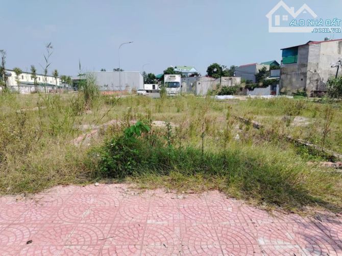 🚀 ĐẤT ĐẤU GIÁ TỔ 4 ,THỊ TRẤN QUANG MINH , ĐƯỜNG NHỰA 2 LÀN, GIÁ MỀM HƠN THỊ TRƯỜNG - 3