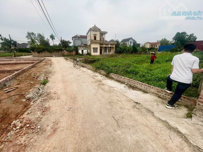 Bán đất Thanh Trí-Minh Phú-SS-HN- giá và lô đất ở phần ảnh đăng - 5