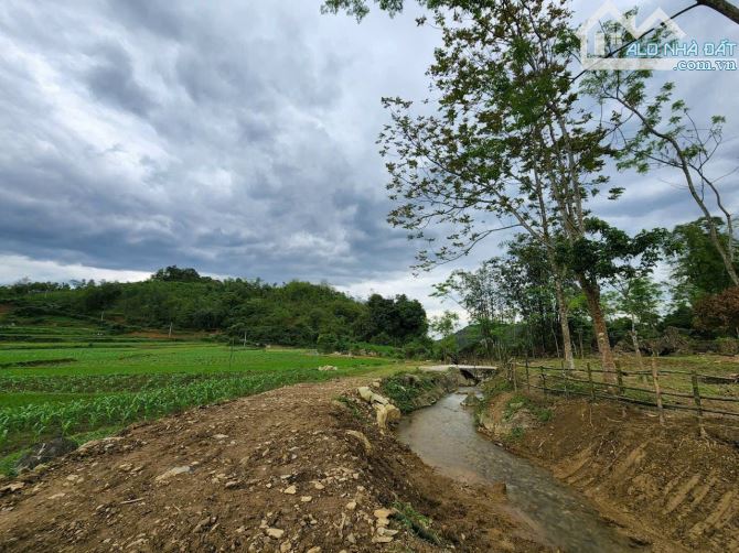 Chỉ 1,8 tỷ, 3500m Tân Lạc,view cánh đồng,bám suối như khu sinh thái thu nhỏ, cách QL6 chỉ