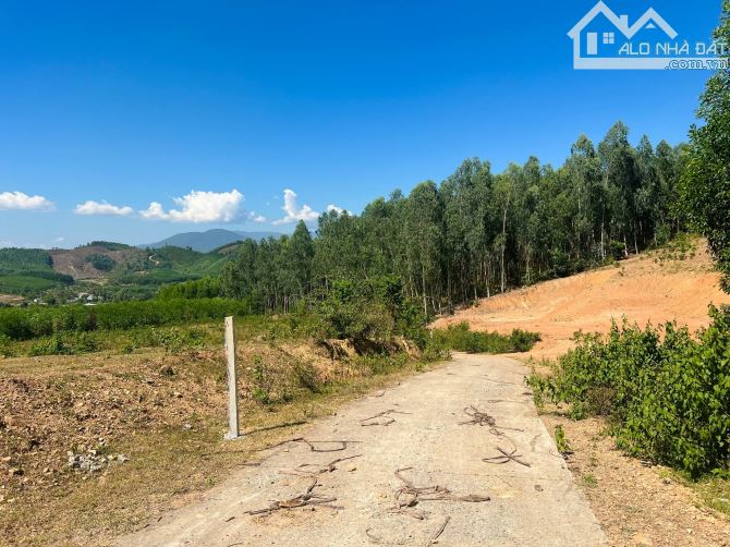 bán đất quy hoạch full thổ cư giá rẻ ộng 4.600m2 xã Khánh Phú, Khánh Vĩnh gần Hương Lộ 62 - 1