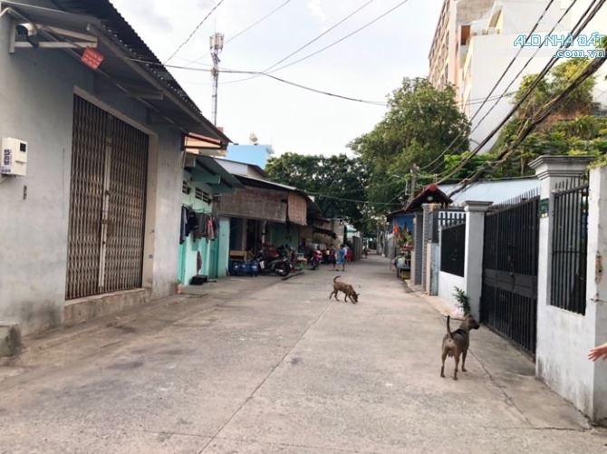BÁN CHDV MT TÂN THỚI NHẤT 20 DT TO GIÁ RẺ 9.8x16 THU NHẬP 25TR CHỈ 9TỶ - 1
