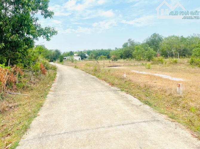 Nguồn mới tinh, chủ vừa gửi lô Tân Phước - 1