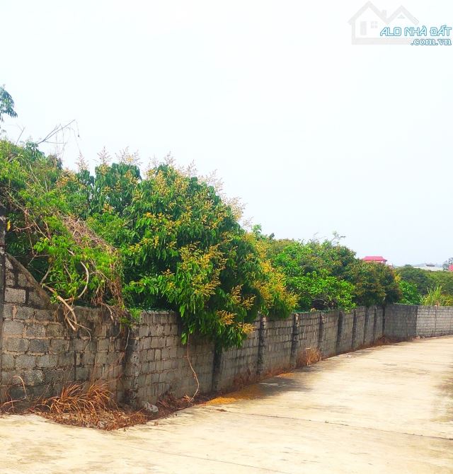 Đất nền bán tại Đường 31, Xã Kiên Thành, Lục Ngạn, Bắc Giang, 550 triệu, 375 m2 - 1