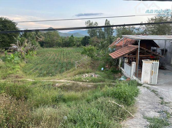 Cần bán lô đất thổ cư mặt tiền QL 26 Xã Ninh Tây, Thị Xã Ninh Hòa, Tỉnh Khánh Hòa - 1