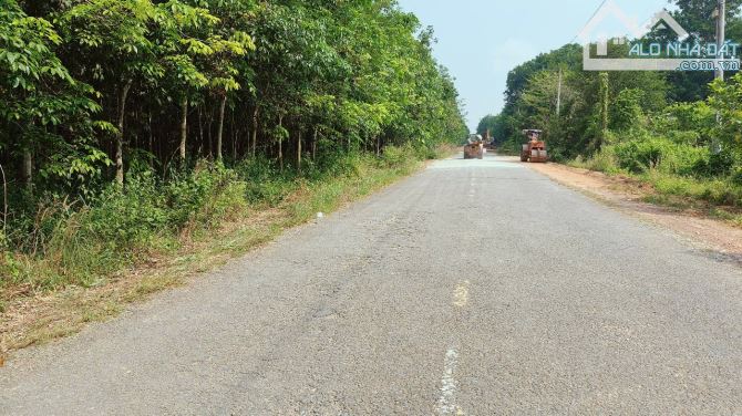 BÁN ĐẤT MT DH611(DH615) LONG NGUYÊN, BÀU BÀNG, DT:165x222, SHR, GIÁ 42,12 TỶ/3,51 Mẫu - 1