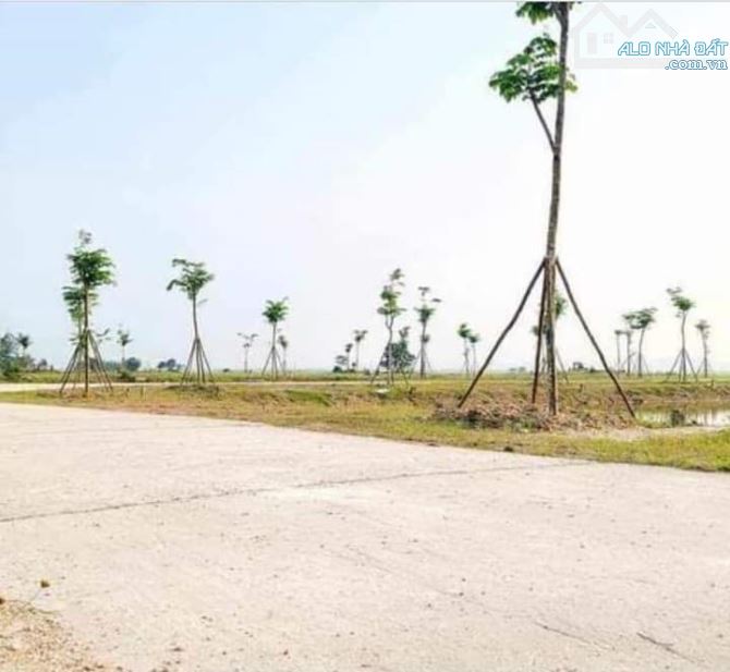 BÁN ĐẤT SỔ ĐỎ KQH ĐÔNG B PHÚ LƯƠNG. GIÁ RẺ - 1