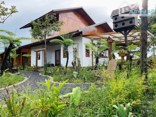 HOMESTAY BÀI BẢN NGUYỄN TRƯỜNG TỘ - P.EA TAM, DT: 2 SÀO 3, THỔ CƯ 300M2, GIÁ: 8,5 TỈ - 1