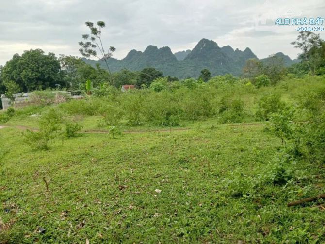 Mình cần bán lô đất nghỉ dưỡng đẹp Lương Sơn - 1