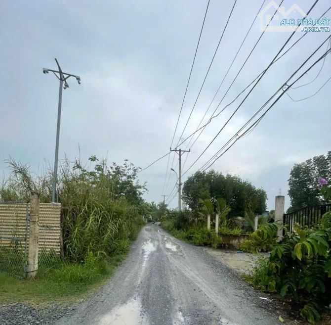 9096m2 mặt tiền đường Đá Xanh_ CẦN GIỜ_ TP HCM Giá 3,2tr/m2   Gần sông, view đẹp, - 1