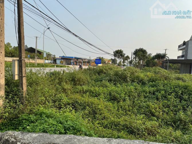 Mời các nhà đầu tư!  Bán lô đất mặt đường Quốc lộ 46 đoạn xã Nghi Thạch, huyện Nghi Lộc - 2