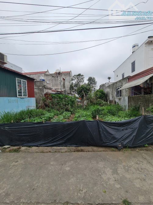 Bán đất ngay cây xăng Quán Ngọc - Đồ Sơn đường 6m - 2