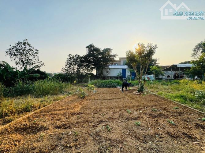 BÁN ĐẤT XUÂN MAI - Ô TÔ TRÁNH - TRỤC ĐƯỜNG 6 CŨ - VỊ TRÍ DẸP 309M 14MT GIÁ 11.1 TỶ - 2