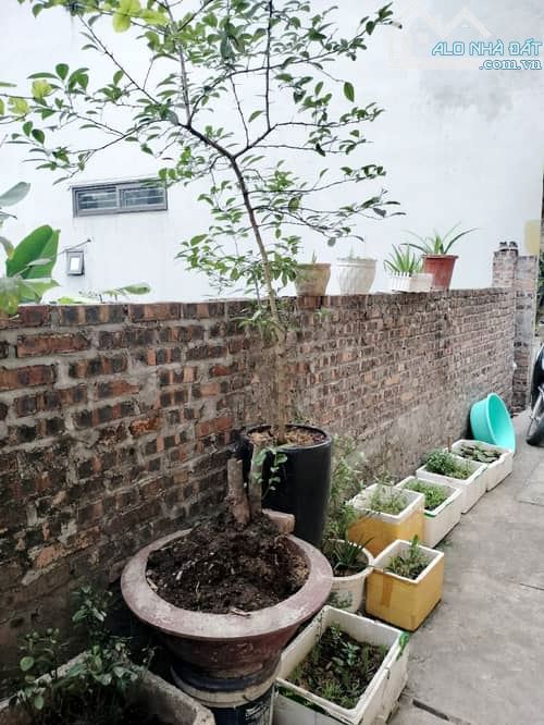 HOT 🔥BÁN 77M2 ĐẤT THỤY PHƯƠNG-MT 7.7M-XÂY CCMN HIỆU SUẤT CỰC ĐỈNH - 2