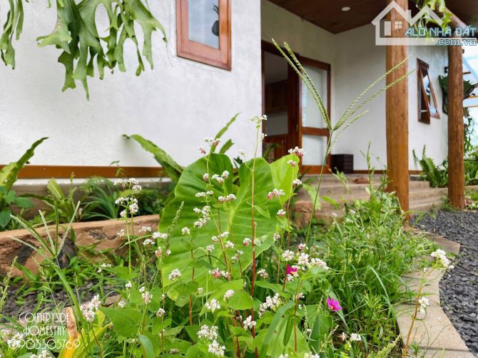HOMESTAY BÀI BẢN NGUYỄN TRƯỜNG TỘ - P.EA TAM, DT: 2 SÀO 3, THỔ CƯ 300M2, GIÁ: 8,5 TỈ - 2