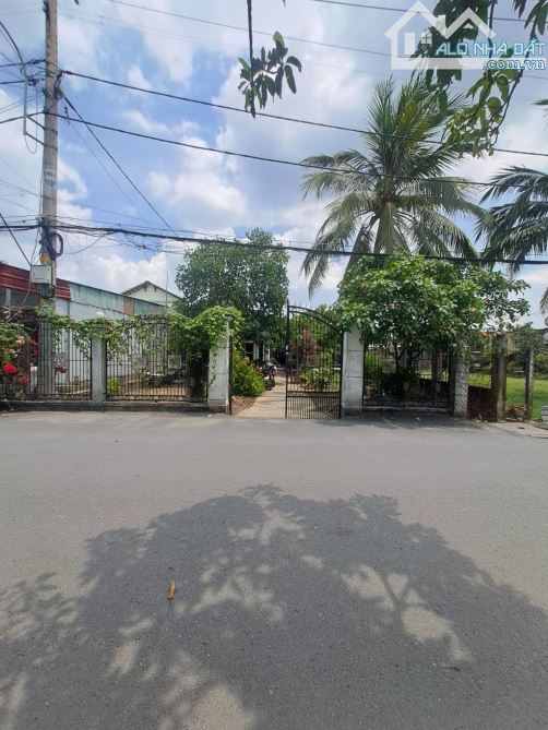Bùi công trừng hóc môn 10x38 shr - 2