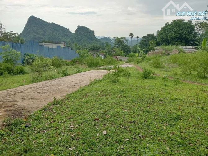 Mình cần bán lô đất nghỉ dưỡng đẹp Lương Sơn - 2