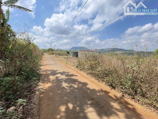 - đất hẻm 1300 Võ Nguyên Giáp  - Chi Lăng - PleiKu - Gia Lai. - 2