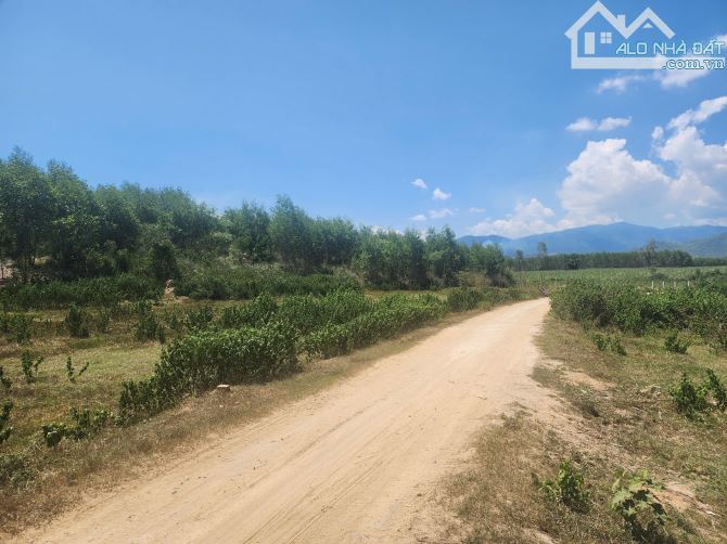 PHẢI BÁN GẤP LÔ ĐẤT DIÊN ĐỒNG, DIÊN KHÁNH chiều ngang 92m - 2
