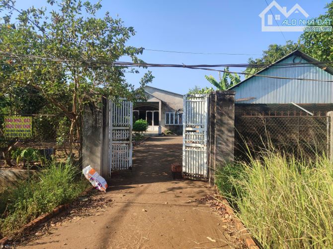 BÁN NHÀ MẶT TIỀN NHỰA XUÂN BẢO XUÂN TÂY, DT 3000M2 , FULL HỒNG, TRÁI CÂY ĐỦ LOẠI - 2