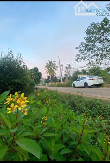 HÀNG HIẾM: HẺM C1 CÁCH YWANG 300m - GẦN ĐH TÂY NGUYÊN 700m - 3