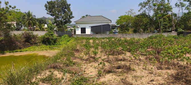 cần Bán 1850m² thổ cư Tân Vinh, Lương Sơn, Hoà Bình - Vị trí đắc địa, tiềm năng - 3