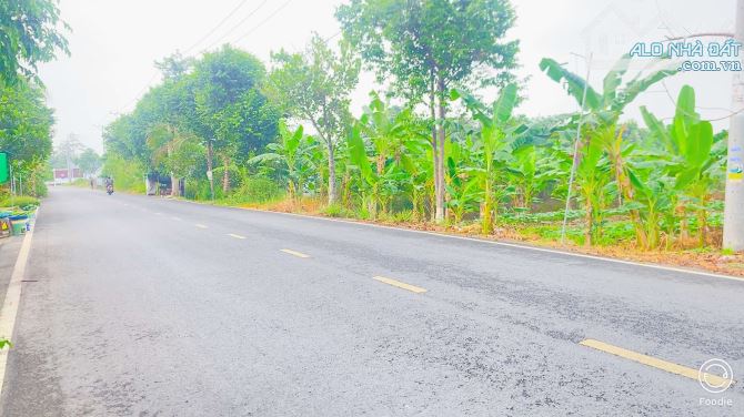 Bán đất 1.100  m2 mặt tiền đường Nguyễn Văn Quy Cái Răng - 3
