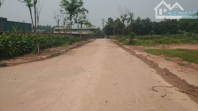 BÁN GẤP ĐẤT CỔNG NGÓI - ĐAN PHƯỢNG, PHÂN LÔ, Ô TÔ TRÁNH: 75M2, MT 5M, GIÁ ĐẦU TƯ. - 3