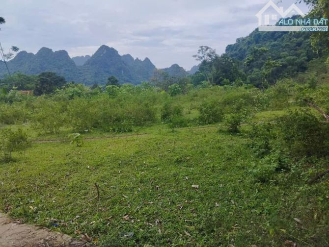 Mình cần bán lô đất nghỉ dưỡng đẹp Lương Sơn - 3