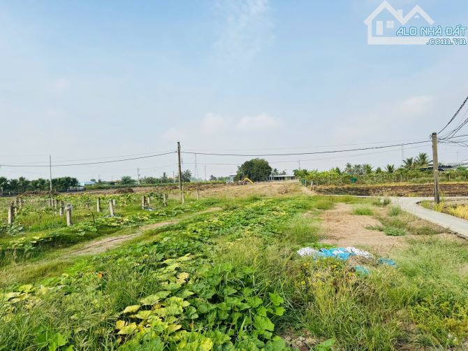 1173m2 có 300m2 thổ Quê mỹ thạnh_Tân Trụ 850 triệu rẻ gần QL1A chợ - 3