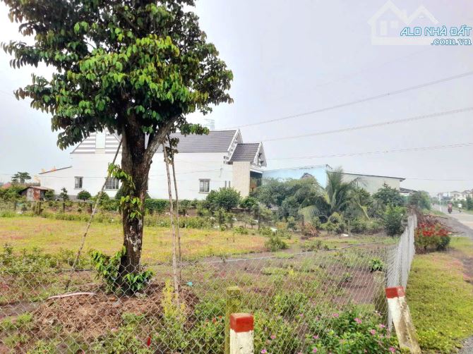 Siêu phẩm, 1170m2 đất có 300m2 thổ cư, kdc Mỹ Thạnh, 850tr - 3