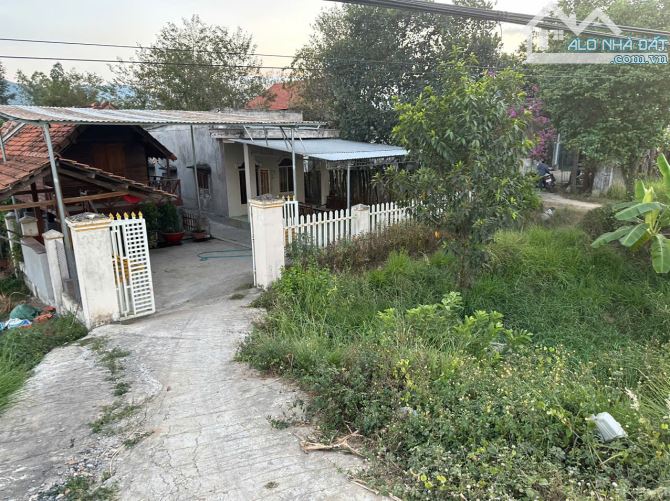 Cần bán lô đất thổ cư mặt tiền QL 26 Xã Ninh Tây, Thị Xã Ninh Hòa, Tỉnh Khánh Hòa - 4