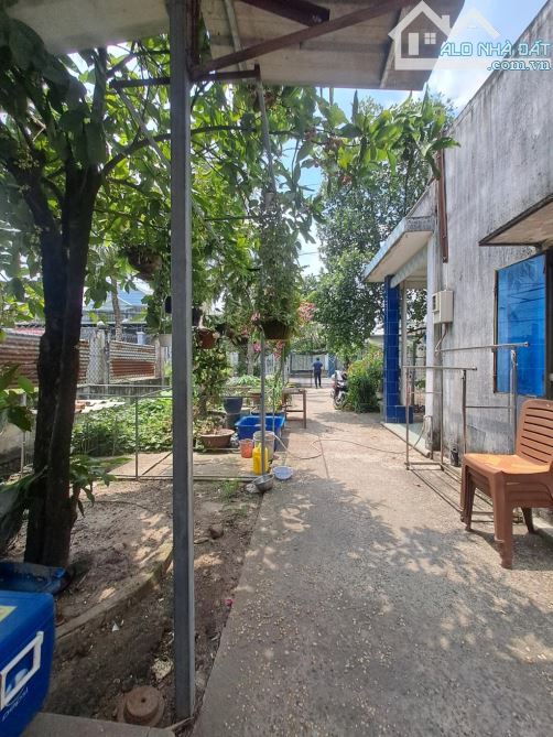 Bùi công trừng hóc môn 10x38 shr - 4