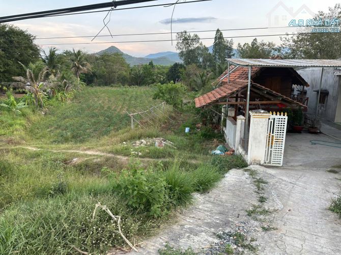 Cần bán lô đất thổ cư mặt tiền QL 26 Xã Ninh Tây, Thị Xã Ninh Hòa, Tỉnh Khánh Hòa - 5
